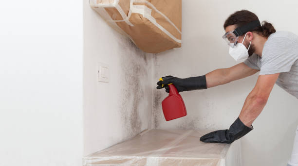 Professional Commercial Mold Remediation technician working in Massapequa Park, NY